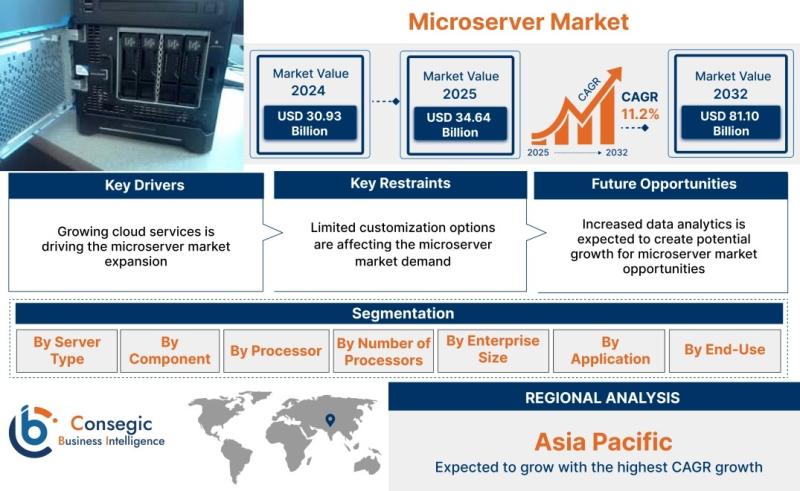 Microserver Market Insights: Emerging Opportunities, Size